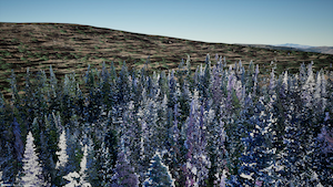 Data and modeling services