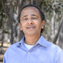 Amarnath Gupta, PhD