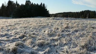 Forecasting Frost Risk with F3 Innovate