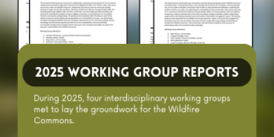 Working Group Reports 2025